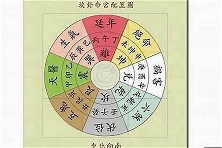 腊月蛇女和8月的马男相配吗？