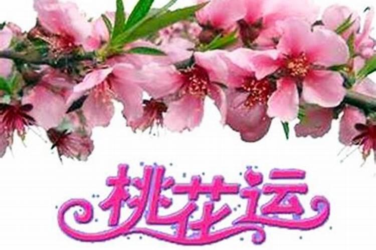 桃花很旺是什么意思？
