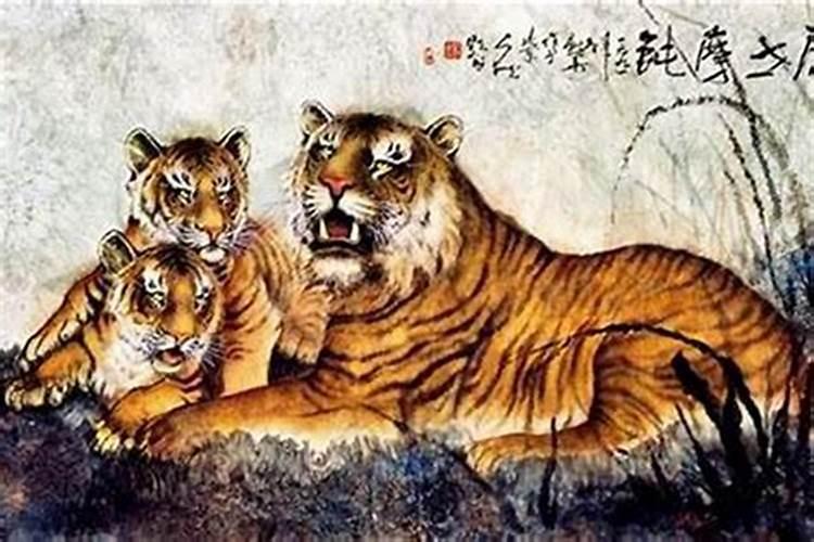 62年属虎2025年运势