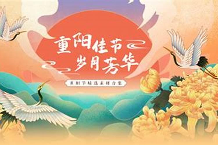 重阳节的手抄报内容