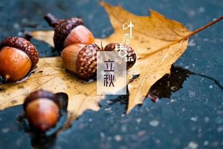 农历六月初六是什么节日？有什么来历？