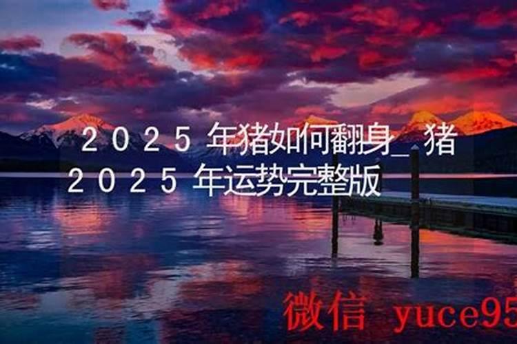 属猪人2025年全年运势及运程