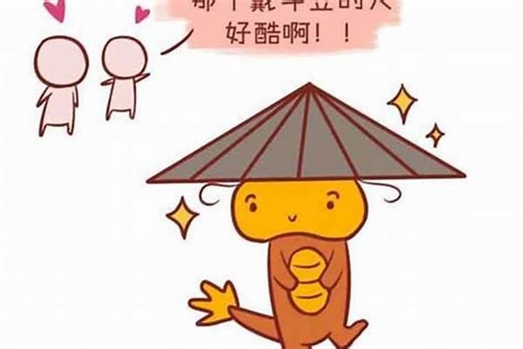 男属马的和女属龙的在一起合适吗？一个1990年一个2000啊