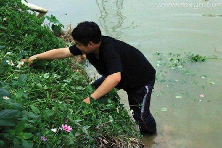 梦见和妈妈一起到河里捞鱼的预兆