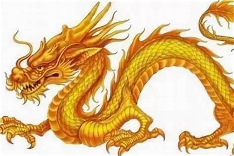 00年属龙未来三年2024到2026运势