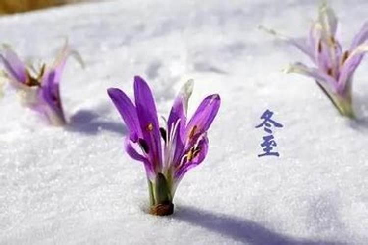 免费算命:冬至生日的人好不好
