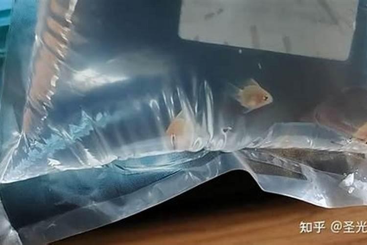 高考拜什么菩萨灵点 高考怎样拜菩萨才会显灵