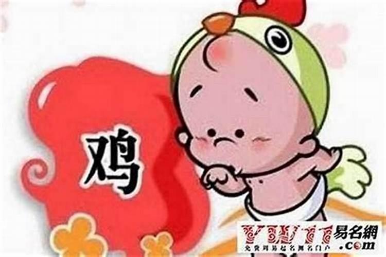 属鸡女的婚配属相更好,女鸡生肖配什么生肖更好
