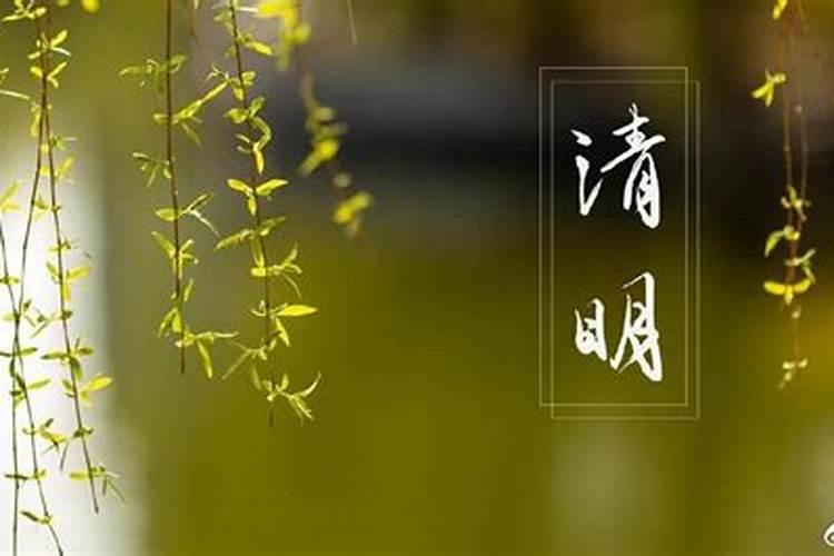 属虎戴什么生肖牌翡翠手链