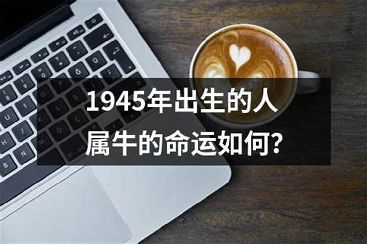 生肖鸡1945年2025年运势如何 生肖鸡1945年2025年全年运势