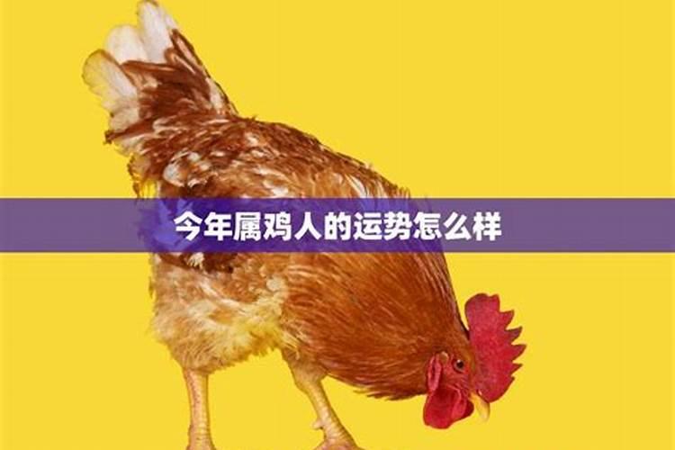梁兴扬现在改名梁诚吉是因为重新拜师了吗？