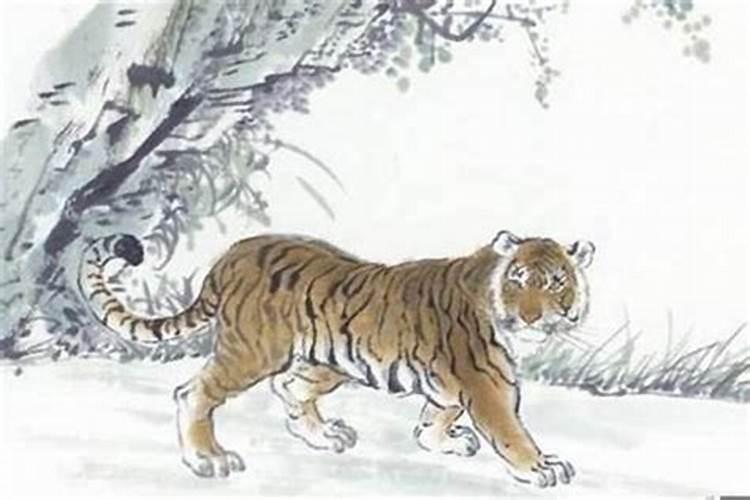 86年属虎2025年属虎人的全年运势