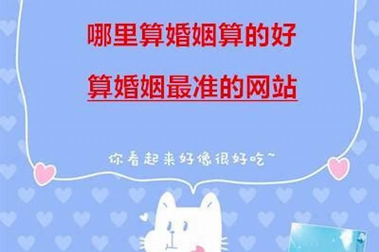 1999的兔在2025的运势与运程