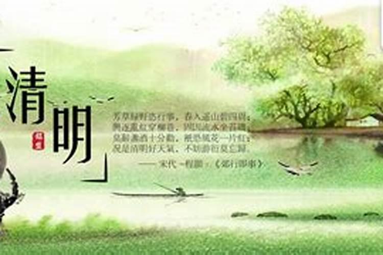 四叶草微信头像图片介绍