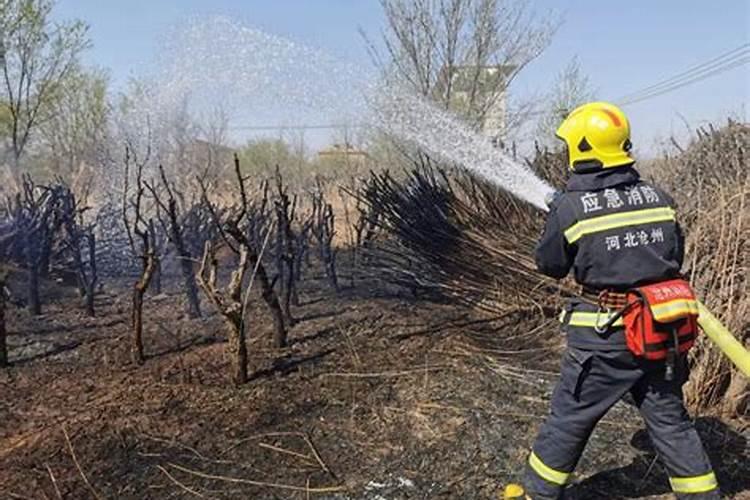 梦见上坟着火了是什么意思