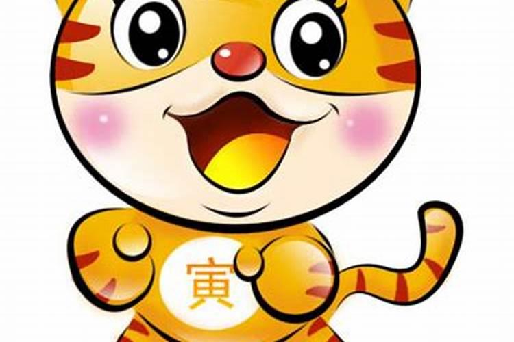 属虎女最合适的婚配属相,属虎女孩最佳配偶属相