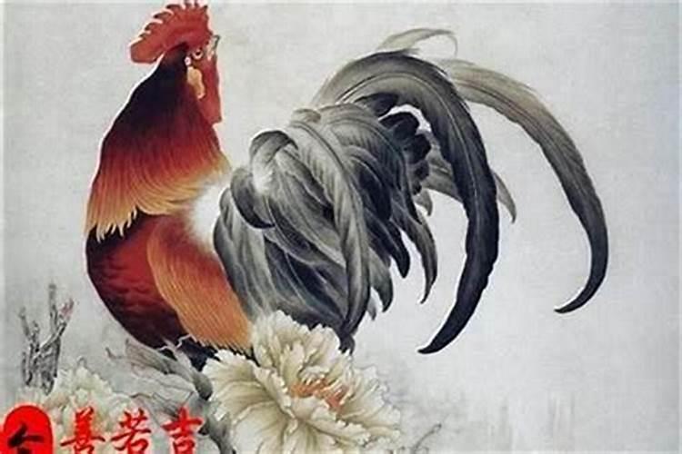属鸡人逢鼠年运势,鼠年属鸡的是不是不顺利