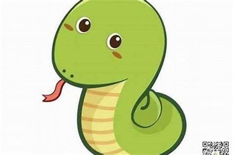 属蛇人2025年犯太岁的化解方法