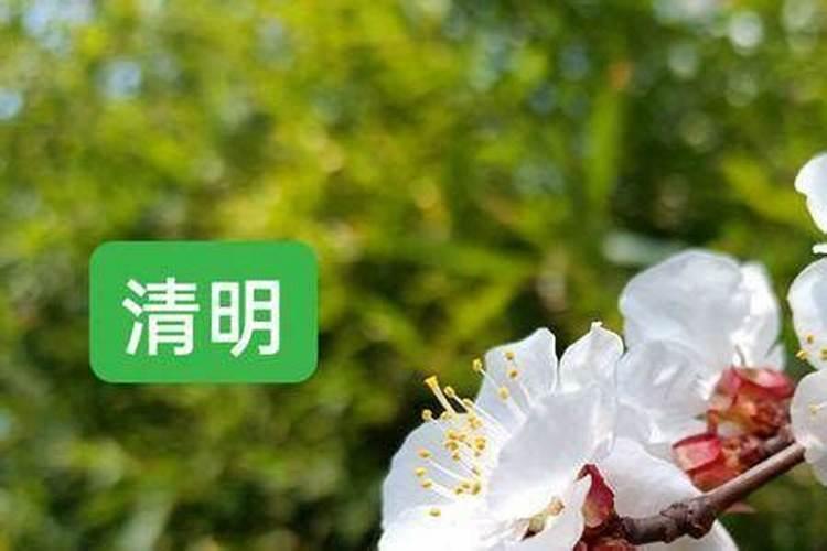 2024清明节放假时间表 一共放几天