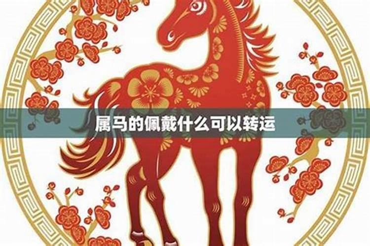 属相马在二零二五年的运势