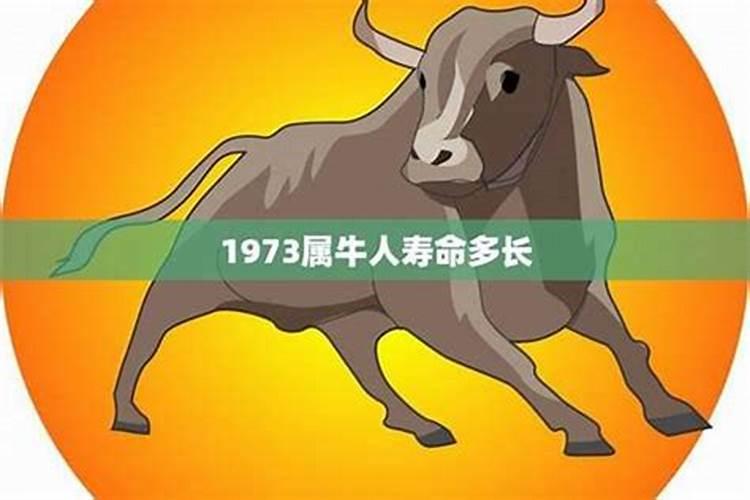 78年女马2025年运势