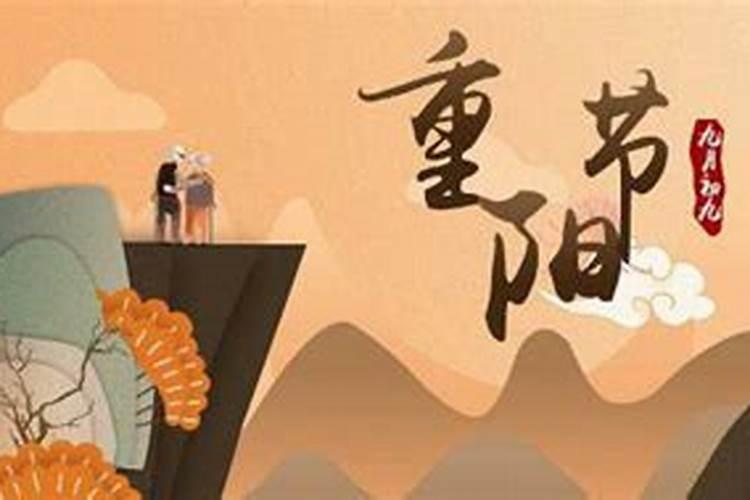 属猪2025年犯太岁怎么化解