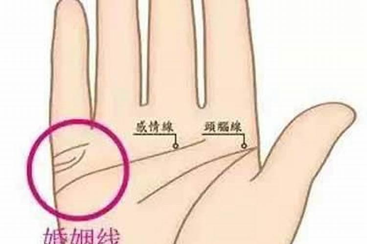1987年农历腊月二十八出生的本命年从什么时候开始,是属什么的？