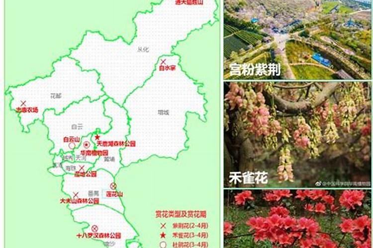 怀孕后被男友抛弃 我只能忍受着疼痛去医院了流产