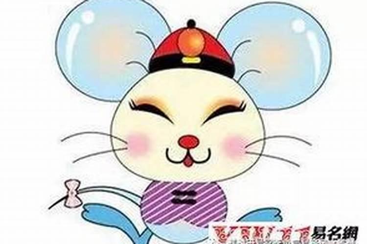 八四年鼠女在40岁是个坎吗22024 八四年鼠女2024到2034十年运程百度...