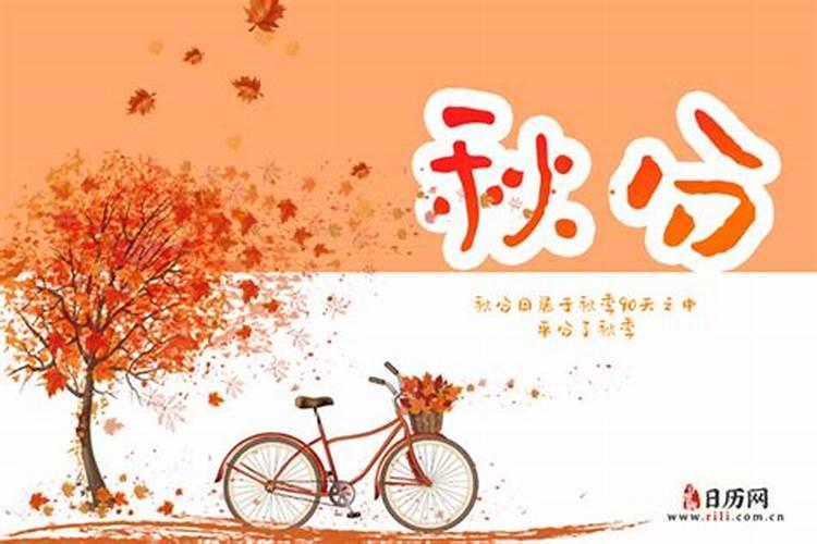 属猪2025年犯太岁怎么化解
