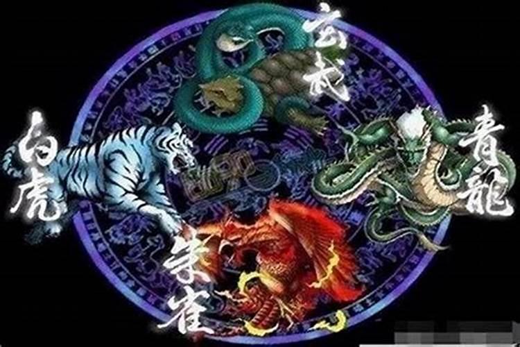 “古来存老马 不必取长途”什么意思