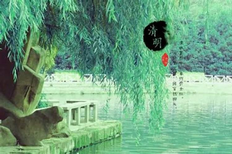 社区重阳佳节活动方案