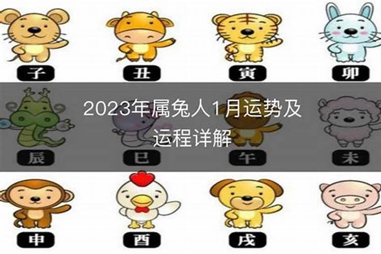 87年属兔九月出生的运气爆棚 今年属兔人事业运势要小心？