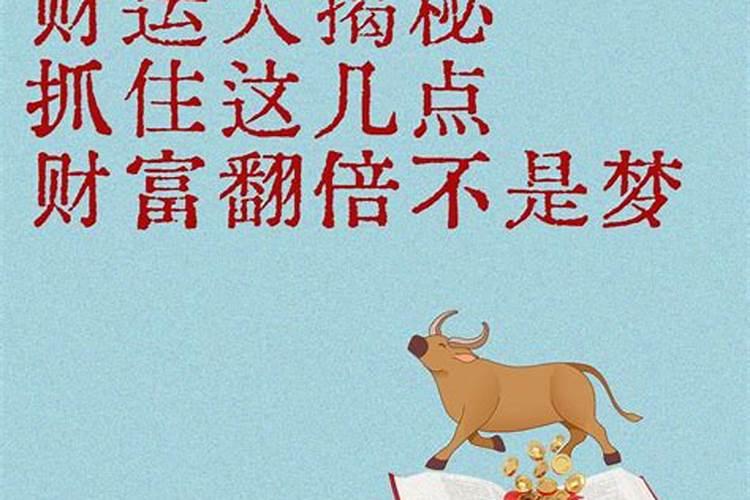 生肖牛2025年运势及运程如何