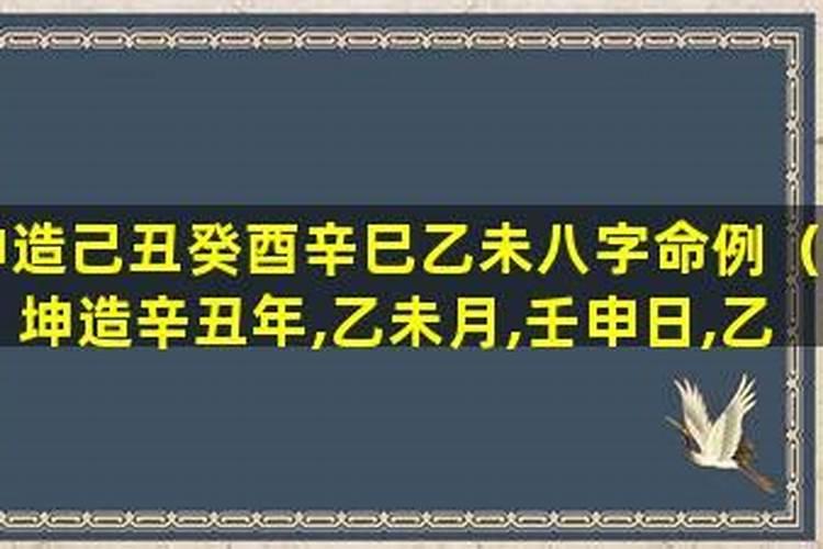 甲午年壬申月乙丑日卯时五行缺什么