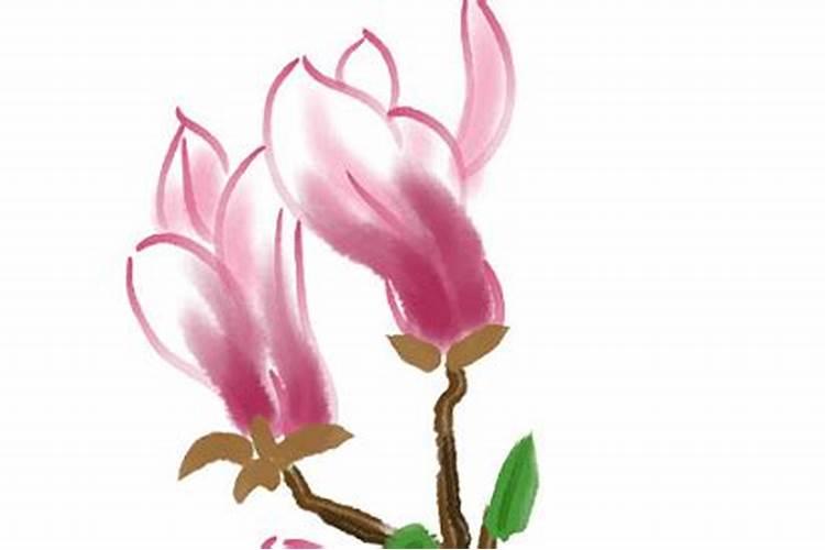 关于二十四节气立冬的由来和注意事项