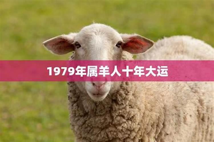 1979年属羊人2025全年运势