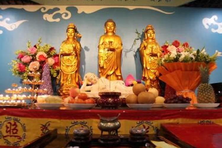 千阳的春节作文