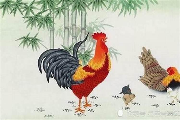 属虎和属兔的相冲吗