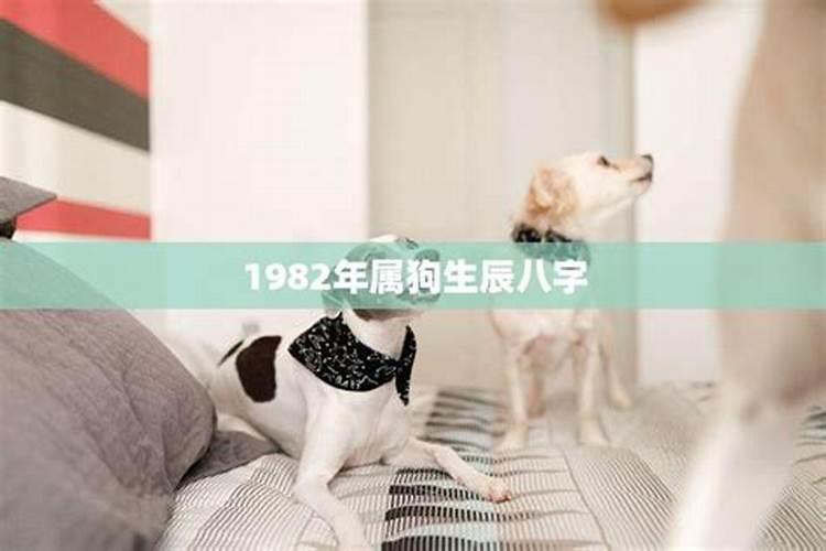 属狗的生辰八字