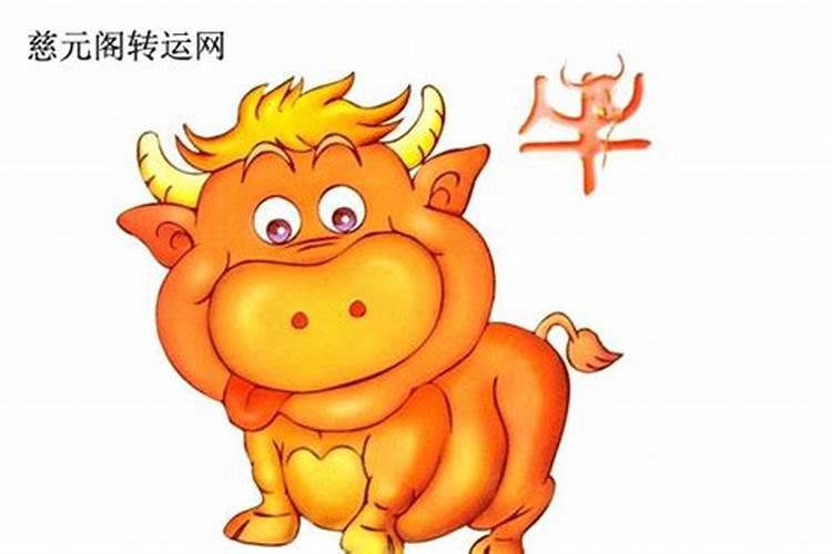 49出生属牛的今年多大年纪2025年