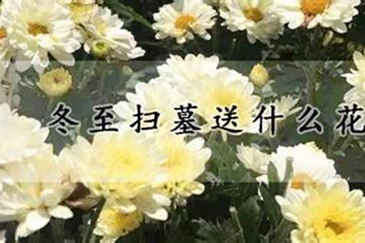 八月十五摆供怎么摆