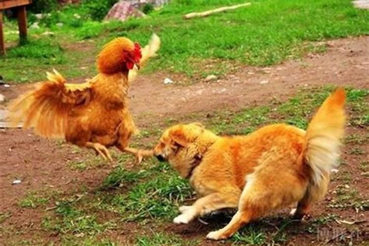 清明节能不能给家里财神上香吗