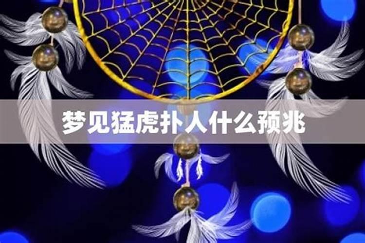 梦见猛虎扑人的预兆
