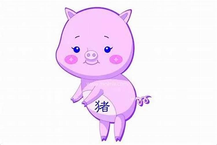 属猪人2024年和哪些属相不合