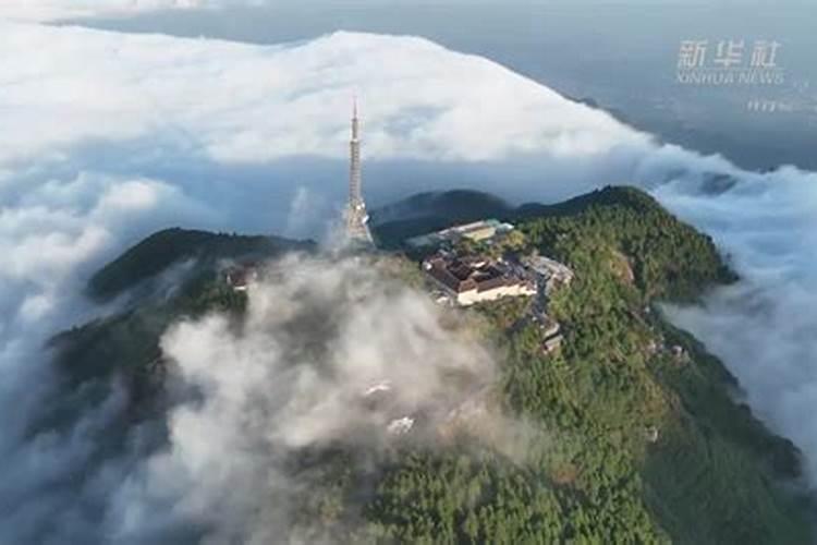 属蛇的什么时候犯太岁 这四个年份犯太岁怎么办？
