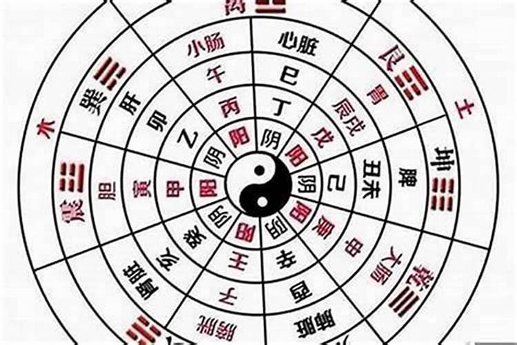 判断一个八字是全阴还是全阳,用看地支的藏干吗？