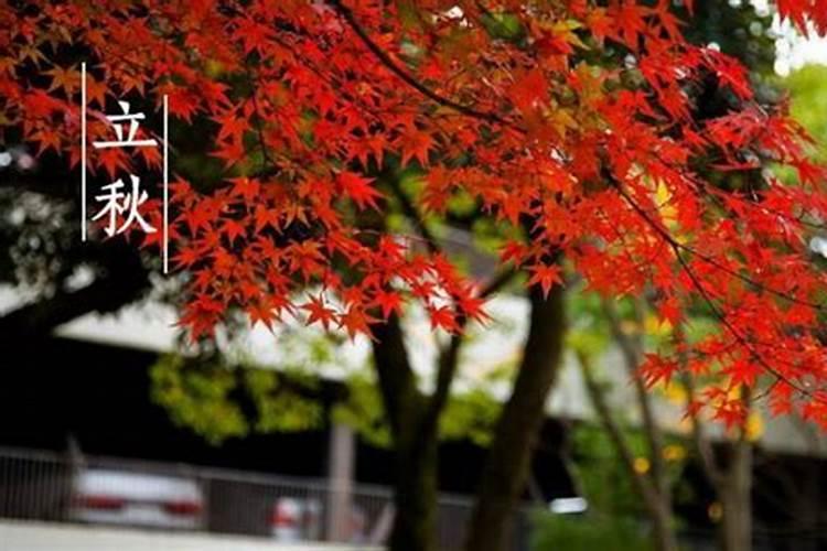 入秋了天气冷了给女朋友注意保暖的句子