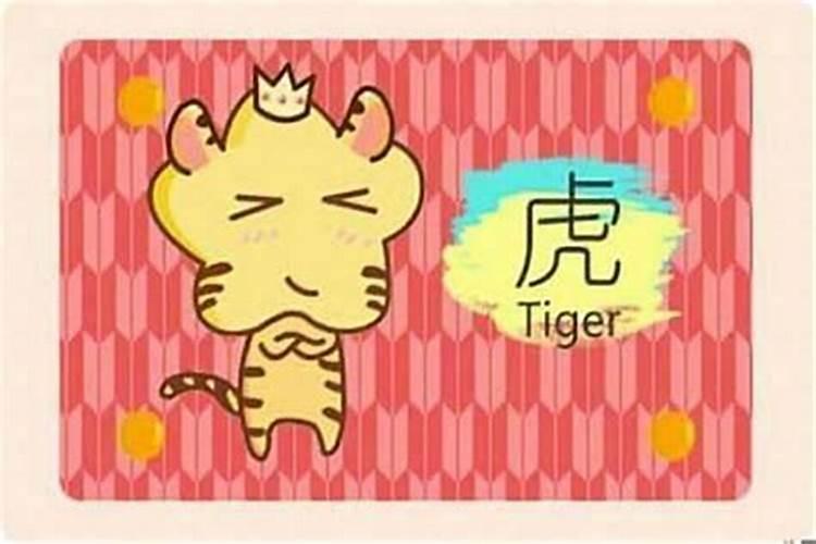 属虎的穿什么颜色衣服运气好