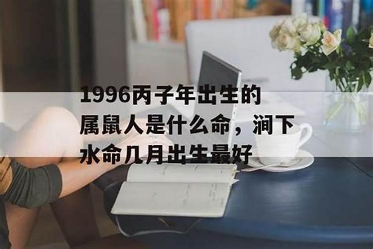 96年生肖鼠运程如何 96年生肖鼠一生的命运
